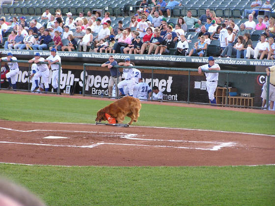 The Bat Boy for the first inning - Waterfront Park